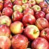 яблоки Гала в Екатеринбурге