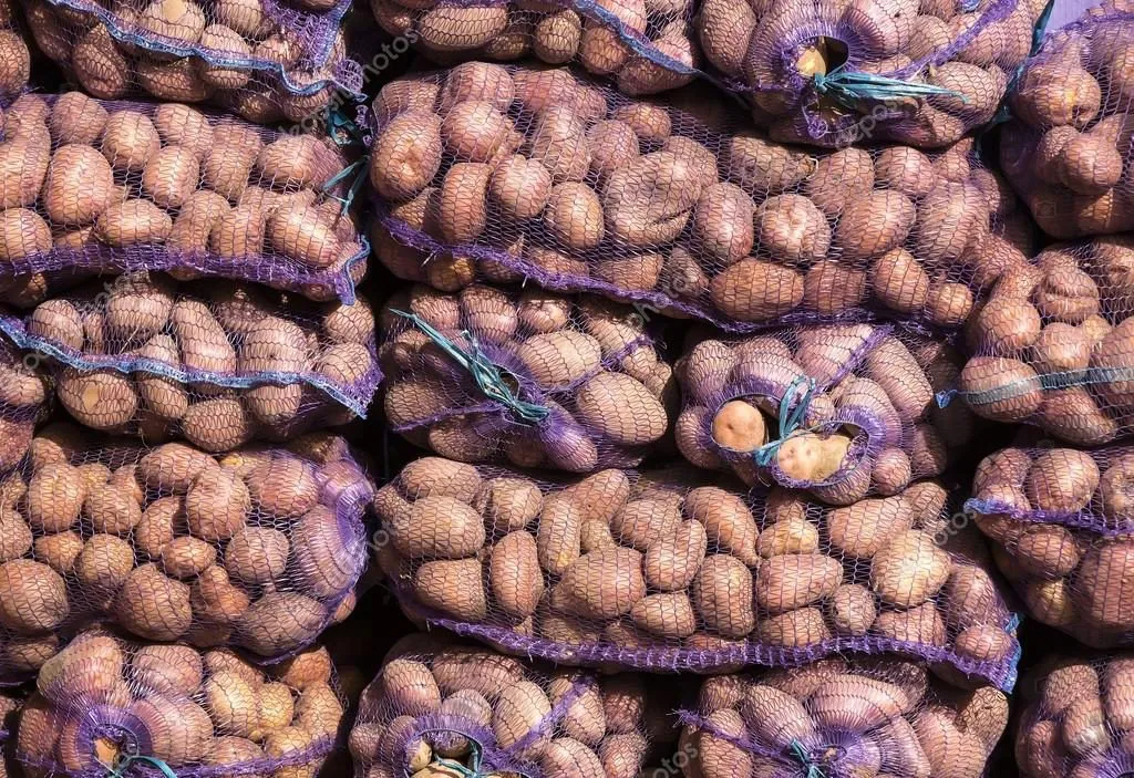 картофель свежий урожай 2019 года в Екатеринбурге